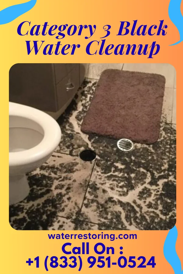 Category 3 Black Water Cleanup in Franklin, NJ