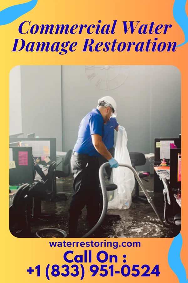 Commercial Water Damage Restoration in Franklin, NJ
