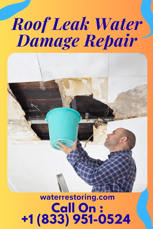 Roof Leak Water Damage Repair in Franklin, NJ