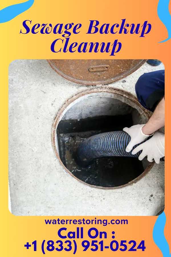 Sewage Backup Cleanup in Franklin, NJ