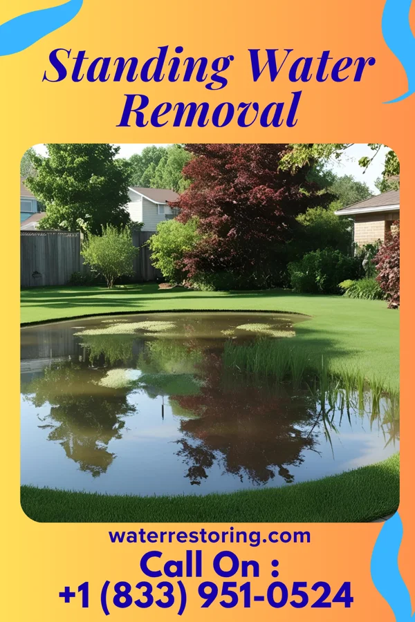 Standing Water Removal in Franklin, NJ